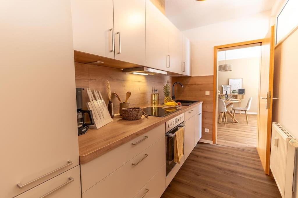 Innenstadt Appartement *Garten* Drážďany Exteriér fotografie